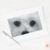 Sticker Rectangulaire Hermes le Maltais (Enveloppe)