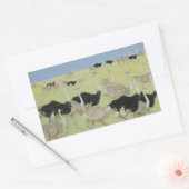 Sticker Rectangulaire Heure de pointe (Enveloppe)