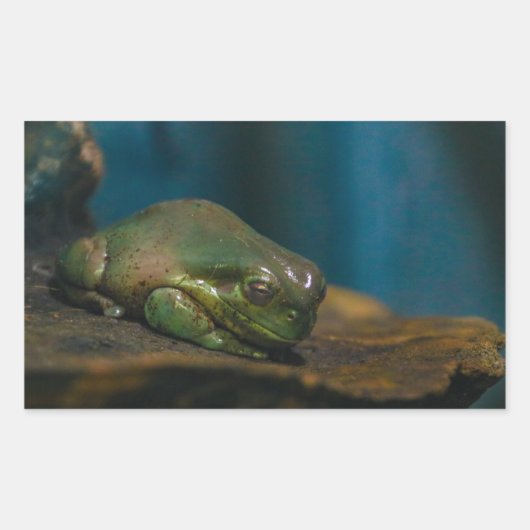 Sticker Rectangulaire Heure du saut (Devant)