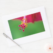 Sticker Rectangulaire hibiscus (Enveloppe)