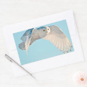 Sticker Rectangulaire Hibou des neiges en vol (Enveloppe)