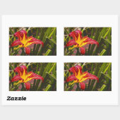 Sticker Rectangulaire Hier Lily Après La Pluie (Feuille)