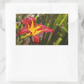 Sticker Rectangulaire Hier Lily Après La Pluie (Sac)