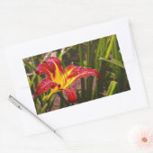 Sticker Rectangulaire Hier Lily Après La Pluie (Enveloppe)