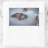 Sticker Rectangulaire Hiver - Weasel à queue courte (Sac)