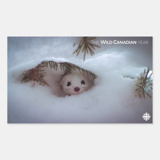 Sticker Rectangulaire Hiver - Weasel à queue courte (Devant)