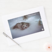 Sticker Rectangulaire Hiver - Weasel à queue courte (Enveloppe)