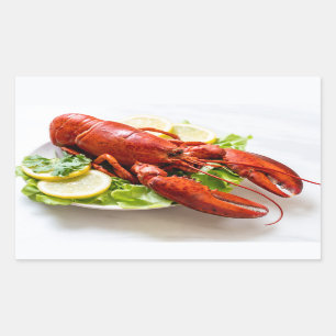 Sticker Rectangulaire Homard