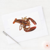 Sticker Rectangulaire Homard (Enveloppe)