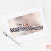 Sticker Rectangulaire Homme Finch (Enveloppe)