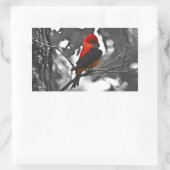 Sticker Rectangulaire Homme Scarlet Tanager (Sac)