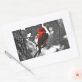 Sticker Rectangulaire Homme Scarlet Tanager (Enveloppe)