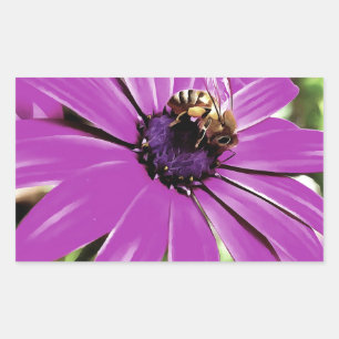 Sticker Rectangulaire Honey Bee Sur Un Daisy Africain Violet