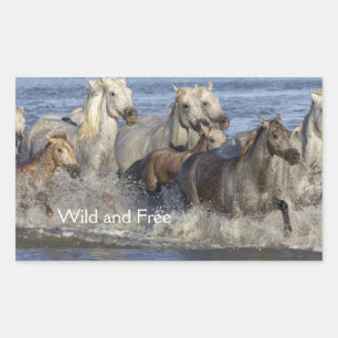 Sticker Rectangulaire Horses galloping in the water