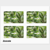 Sticker Rectangulaire Hosta feuille rayé vert et blanc (Feuille)