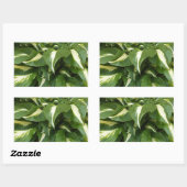 Sticker Rectangulaire Hosta Feuilles (Feuille)
