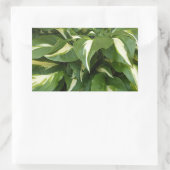 Sticker Rectangulaire Hosta Feuilles (Sac)