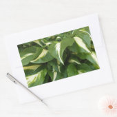 Sticker Rectangulaire Hosta Feuilles (Enveloppe)