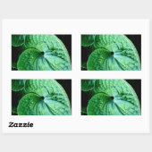 Sticker Rectangulaire Hosta Heart (Feuille)