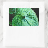 Sticker Rectangulaire Hosta Heart (Sac)
