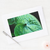 Sticker Rectangulaire Hosta Heart (Enveloppe)