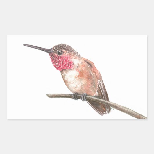 Sticker Rectangulaire Hummingbird watercolor (Devant)