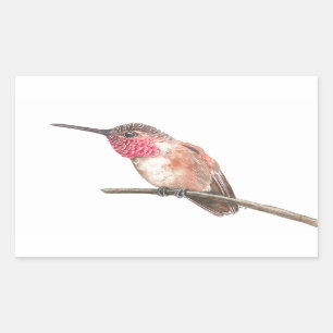 Sticker Rectangulaire Hummingbird watercolor