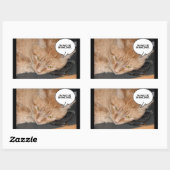 Sticker Rectangulaire Humour de chat Tabby Orange/Téléphone cellulaire (Feuille)