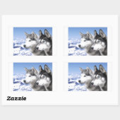 Sticker Rectangulaire Huskies de Sibérie (Feuille)