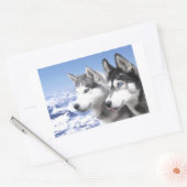 Sticker Rectangulaire Huskies de Sibérie (Enveloppe)