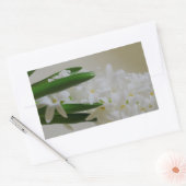 Sticker Rectangulaire Hyacinth (Enveloppe)