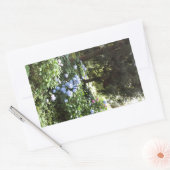 Sticker Rectangulaire Hydrangea Floral Trees Nature Photographie (Enveloppe)