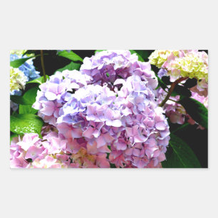 Sticker Rectangulaire Hydrangea garden, rose, bleu, purple floral