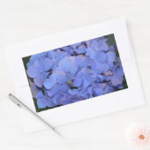 Sticker Rectangulaire Hydrangea macrophylla violette rustique (Enveloppe)