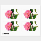 Sticker Rectangulaire Hydrangée rose rose fleur rose (Feuille)