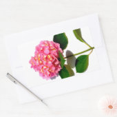 Sticker Rectangulaire Hydrangée rose rose fleur rose (Enveloppe)