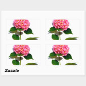 Sticker Rectangulaire Hydrangée rose rose fleur rose (Feuille)