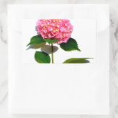 Sticker Rectangulaire Hydrangée rose rose fleur rose (Sac)