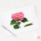 Sticker Rectangulaire Hydrangée rose rose fleur rose (Enveloppe)