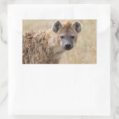 Sticker Rectangulaire Hyena (Sac)