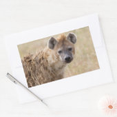 Sticker Rectangulaire Hyena (Enveloppe)