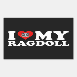 Sticker Rectangulaire I Love (Coeur) My Ragdoll