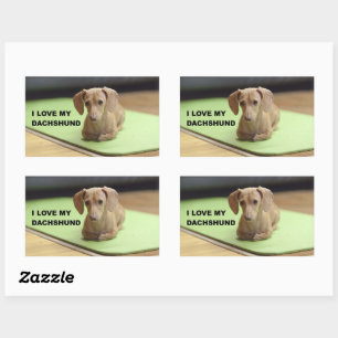 Sticker Rectangulaire I Love My Cream Dachshund avec photo