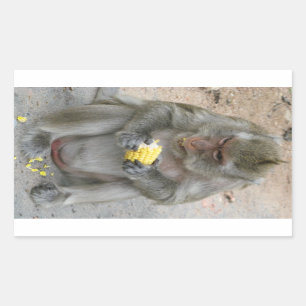 Sticker Rectangulaire Il est le mien ! ! … Singe de Macaque thaïlanda