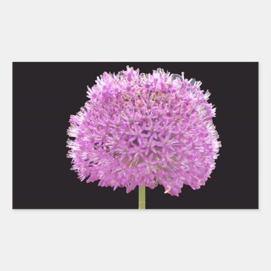 Sticker Rectangulaire Illium Summer Spring Flower - Irish Design (Devant)