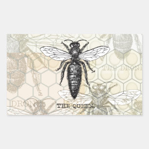 Sticker Rectangulaire Illustration Antique d'Insecte de Bourdon Reine Ab