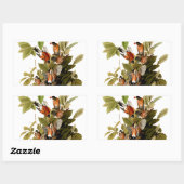 Sticker Rectangulaire Illustration Audubon American Robin Wildlife Bird (Feuille)