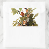 Sticker Rectangulaire Illustration Audubon American Robin Wildlife Bird (Sac)
