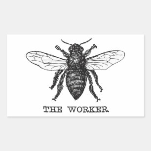 Sticker Rectangulaire Illustration d'abeille ouvrière vintage