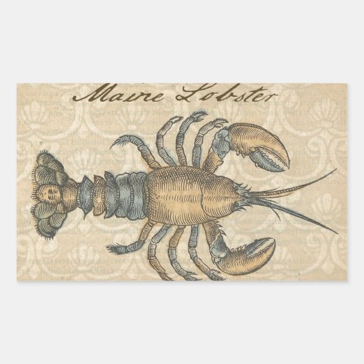 Sticker Rectangulaire Illustration de homard, fruits de mer du Maine (Devant)